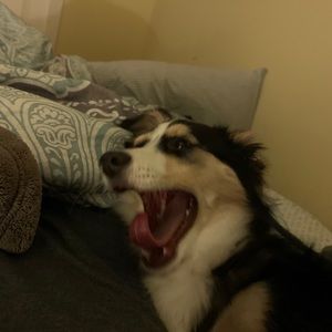 Meet your Posher, Jonathan